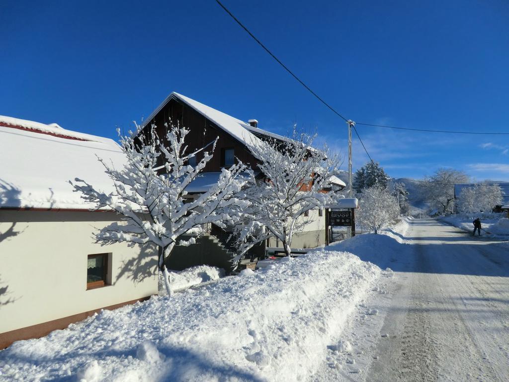 Hotel Ethno House Izvor Vrelo Koreničko Esterno foto
