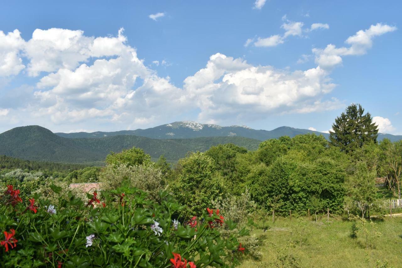 Hotel Ethno House Izvor Vrelo Koreničko Esterno foto